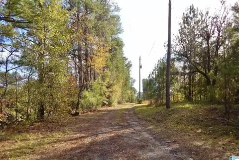 26 W Wolf Rd, Parrish, AL 35580 photo 18
