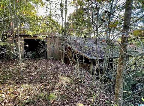 26 W Wolf Rd, Parrish, AL 35580 photo 16