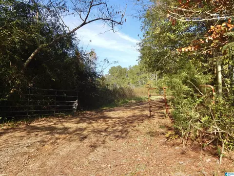 26 W Wolf Rd, Parrish, AL 35580 photo 2