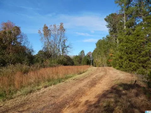 26 W Wolf Rd, Parrish, AL 35580 photo 3