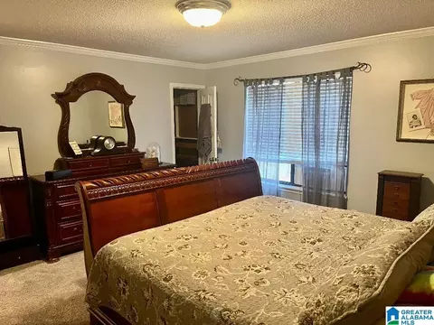 13309 Michael Dr, Mc Calla, AL 35111 photo 14