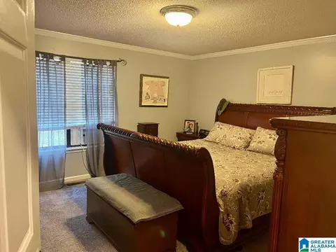 13309 Michael Dr, Mc Calla, AL 35111 photo 13