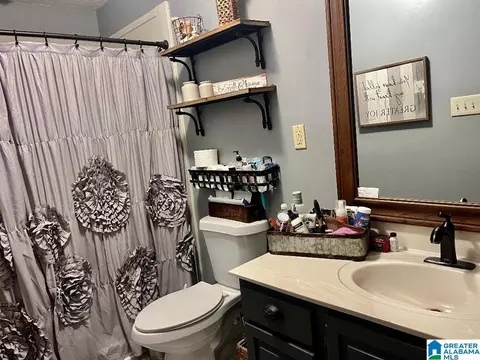 13309 Michael Dr, Mc Calla, AL 35111 photo 15
