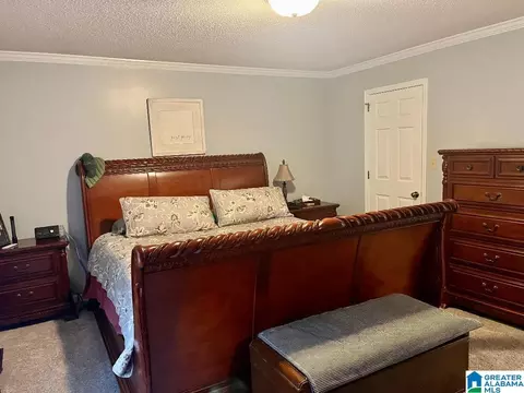 13309 Michael Dr, Mc Calla, AL 35111 photo 12