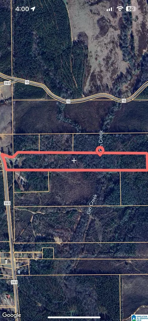 0 County Road 393 #0, Maplesville, AL 36750