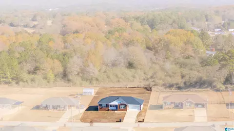 406 Bailey Rd, Weaver, AL 36277 photo 4