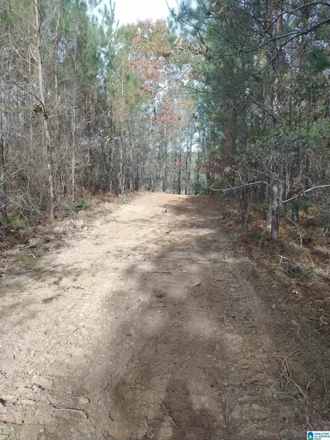 334 Serenity Ln #1, Alpine, AL 35014