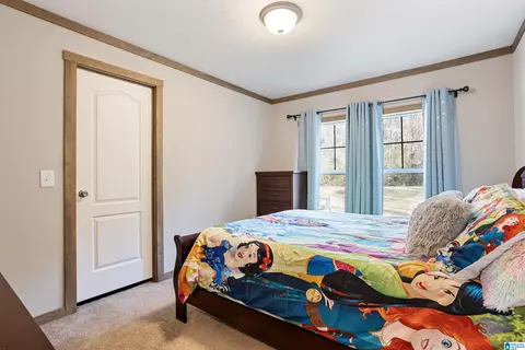3334 Butler Rd, Jasper, AL 35501 photo 18