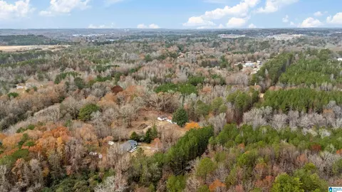 3334 Butler Rd, Jasper, AL 35501 photo 42