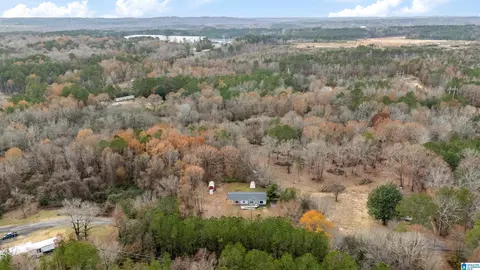 3334 Butler Rd, Jasper, AL 35501 photo 41