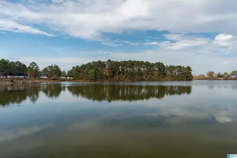 View/Area - 283 Coves Point Dr, Riverside, AL 35135 photo 5 of 8