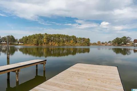 View/Area - 283 Coves Point Dr, Riverside, AL 35135 photo 4 of 8
