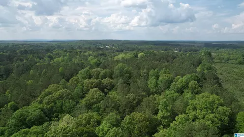 0 Armstrong Mtn Ln #9.9ACRES, Talladega, AL 35160
