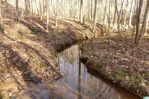 lot Apt 9 Harbour Point Dr #9, Delta, AL 36258