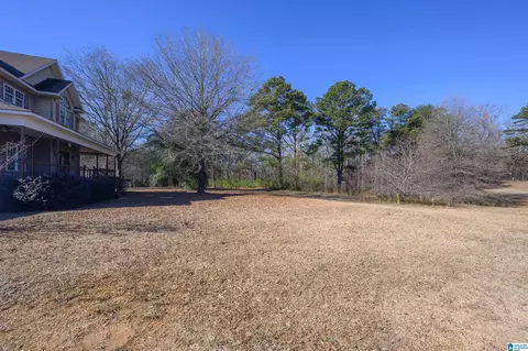 4050 Ethridge Rd, Adger, AL 35006 photo 46