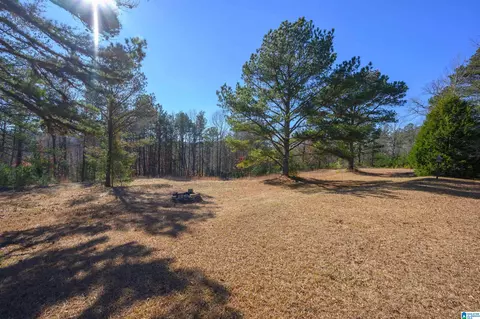 4050 Ethridge Rd, Adger, AL 35006 photo 44