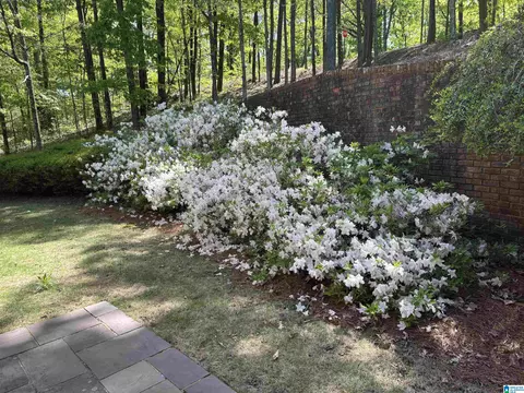 40 Chert Rd, Oneonta, AL 35121 photo 60