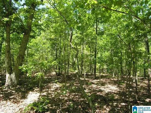 4376 S Shades Crest Rd #2, Bessemer, AL 35022