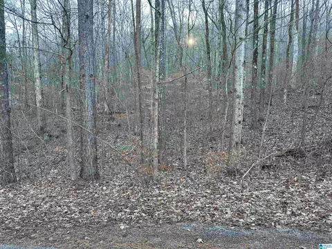 0 Valley Ln #0, Warrior, AL 35180