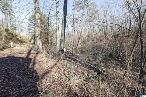 129 Mohawk Trl, Ohatchee, AL 36271 photo 5