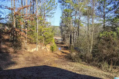 129 Mohawk Trl, Ohatchee, AL 36271 photo 3