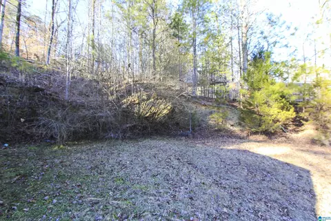 129 Mohawk Trl, Ohatchee, AL 36271 photo 27