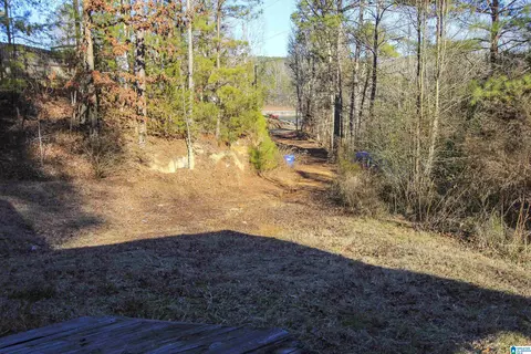 129 Mohawk Trl, Ohatchee, AL 36271 photo 13