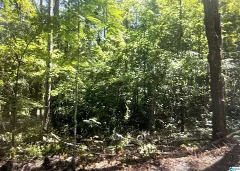 0 Gemini Cir #LOT 53, Alpine, AL 35014