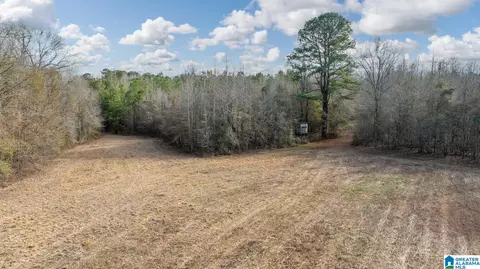 00 Brush Creek Dr #0, Akron, AL 35441