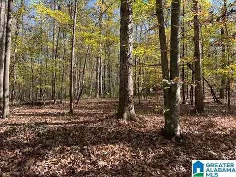 0 Dorough Rd #1 & 2, Columbiana, AL 35051