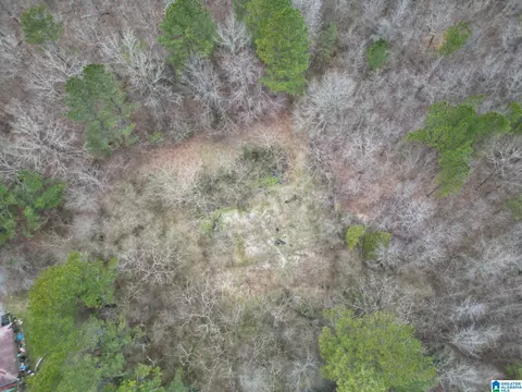 601 Eastwood Dr #N/A, Warrior, AL 35180