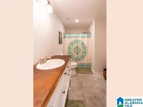 371 Lakeshore Loop, Oneonta, AL 35121 photo 30