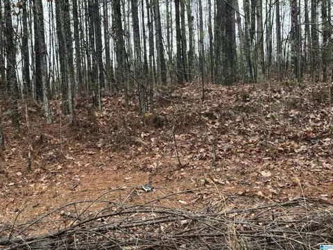 360 Willow Ln #8, Vincent, AL 35178