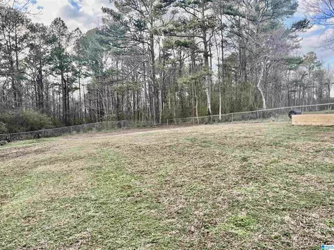 1605 Skyline Dr, Warrior, AL 35180 photo 39