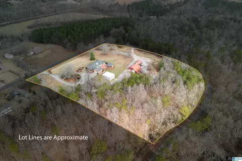Other - 22851 Eastern Valley Rd, Mc Calla, AL 35111 photo 13 of 31