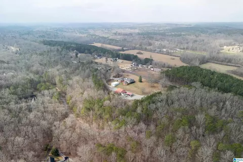 Other - 22851 Eastern Valley Rd, Mc Calla, AL 35111 photo 29 of 31