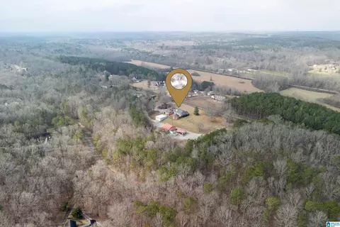 View/Area - 22851 Eastern Valley Rd, Mc Calla, AL 35111 photo 9 of 10