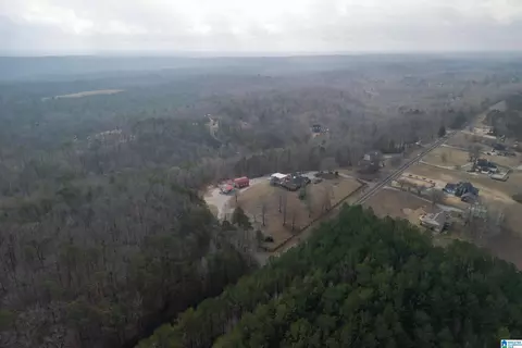 View/Area - 22851 Eastern Valley Rd, Mc Calla, AL 35111 photo 10 of 10