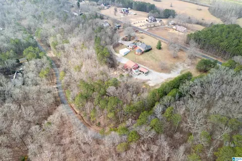 View/Area - 22851 Eastern Valley Rd, Mc Calla, AL 35111 photo 8 of 10