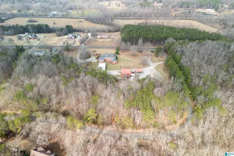View/Area - 22851 Eastern Valley Rd, Mc Calla, AL 35111 photo 6 of 10