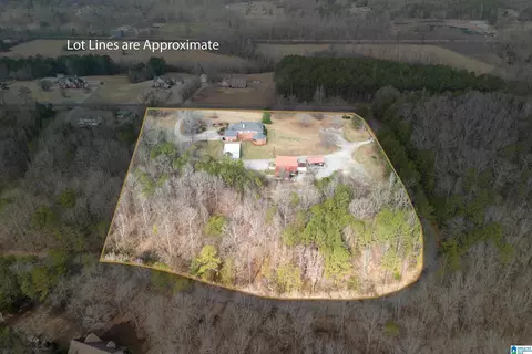 View/Area - 22851 Eastern Valley Rd, Mc Calla, AL 35111 photo 5 of 10