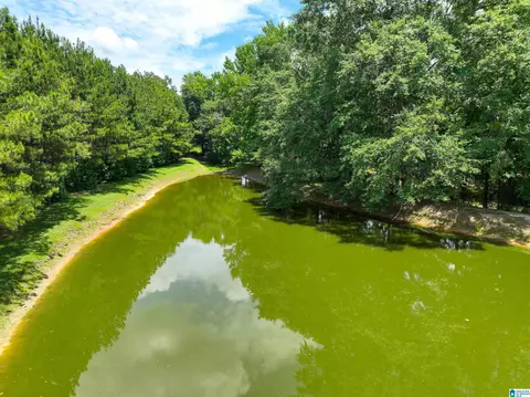 View/Area - 2348 County Road 28, Clanton, AL 35046 photo 9 of 10