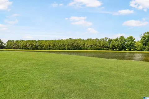 View/Area - 2348 County Road 28, Clanton, AL 35046 photo 1 of 10