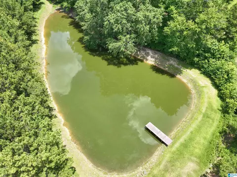 View/Area - 2348 County Road 28, Clanton, AL 35046 photo 8 of 10