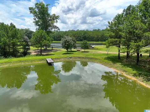 View/Area - 2348 County Road 28, Clanton, AL 35046 photo 10 of 10