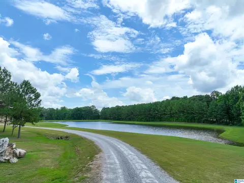 View/Area - 2348 County Road 28, Clanton, AL 35046 photo 7 of 10