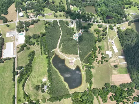 View/Area - 2348 County Road 28, Clanton, AL 35046 photo 4 of 10