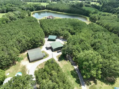 Other - 2348 County Road 28, Clanton, AL 35046 photo 19 of 19