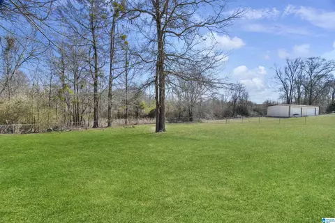916 Frances Cir, Clanton, AL 35045 photo 4
