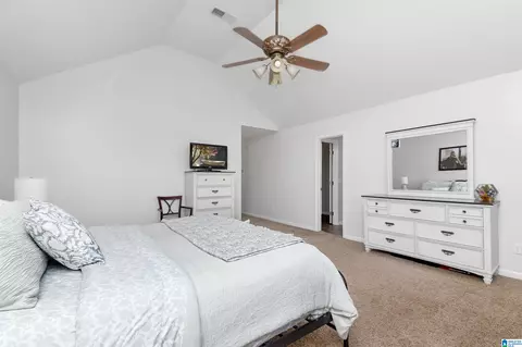 916 Frances Cir, Clanton, AL 35045 photo 11